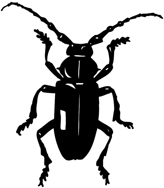 Fat little beetle vinyl sticker. Customize on line.      Animals Insects Fish 004-0944  